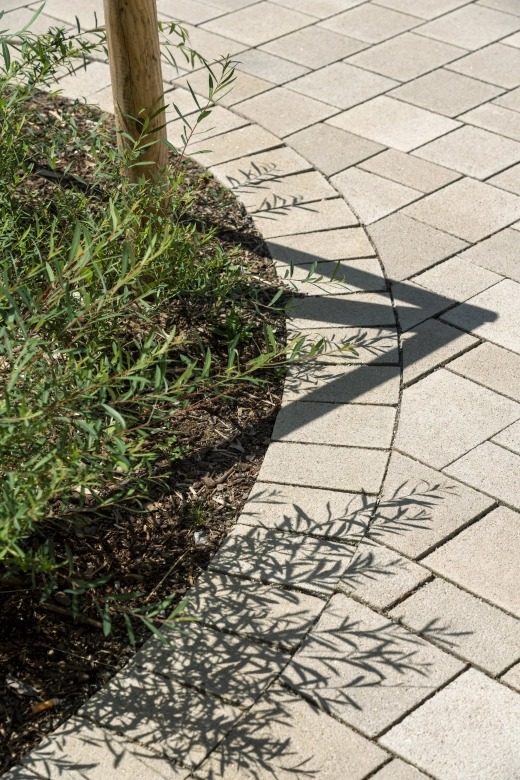 Ein geschwungener Pfad aus beigen Pflastersteinen verläuft neben einem bepflanzten Bereich mit grünen Sträuchern. Die Schatten der Pflanzen werfen filigrane Muster auf den Gehweg.