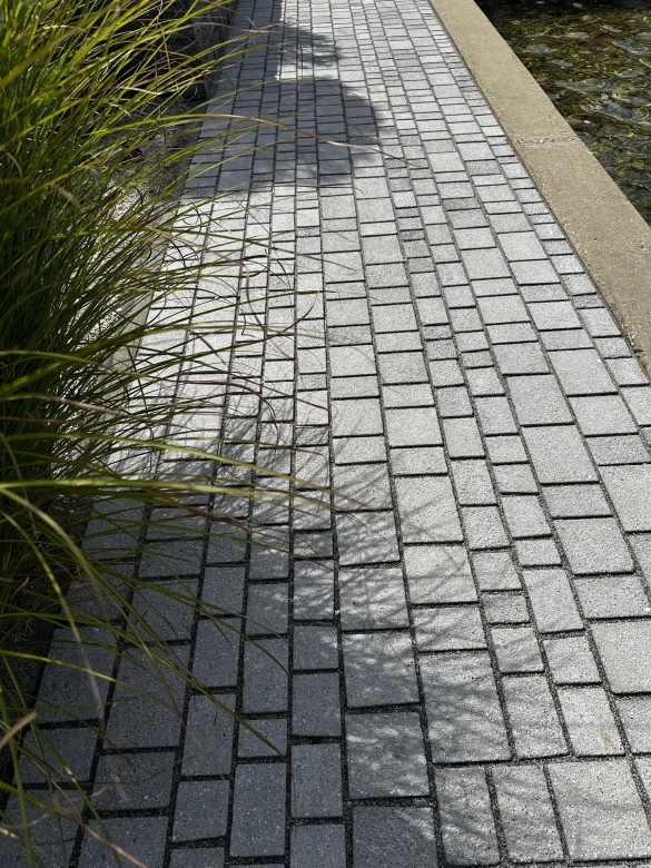 gepflasterter Gartenweg mit Natursteinen in Granit Grau eingefasst von 
Gräsern und einem Wasserlauf. Kopfsteinpflaster im Riehenverband 
verlegt.