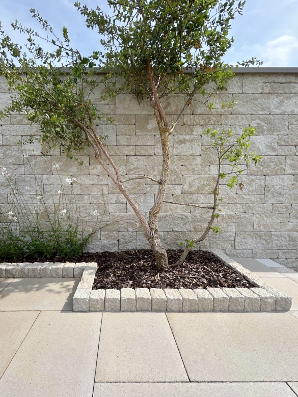 Bed for a tree and edging in front of a privacy wall.
