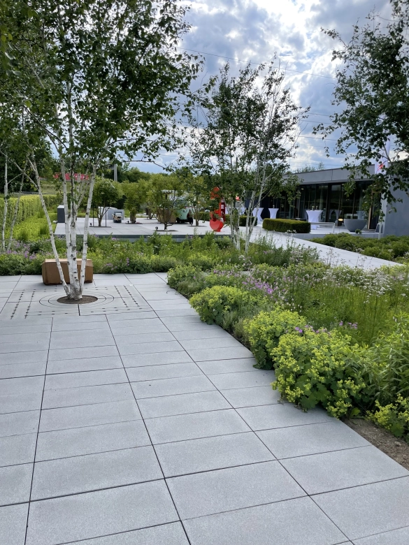 Das Bild zeigt einen modernen, gepflegten Garten mit einem gepflasterten Weg im Vordergrund. Der Weg führt durch eine grüne Landschaft mit verschiedenen Pflanzen und Bäumen, darunter mehrere Birken. Im Hintergrund sind weitere Gartenbereiche und ein modernes Bürogebäude zu sehen.