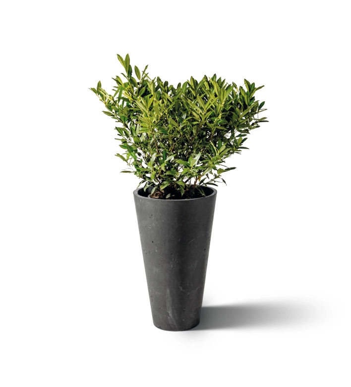 <b>CONIC planter</b> visia Basalt