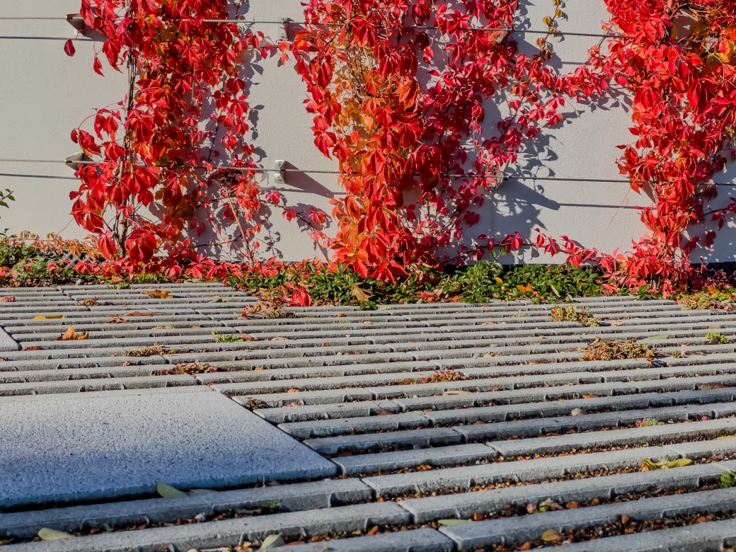 GODELMANN Ideen-Garten als Inspiration für die Gartenplanung 2027