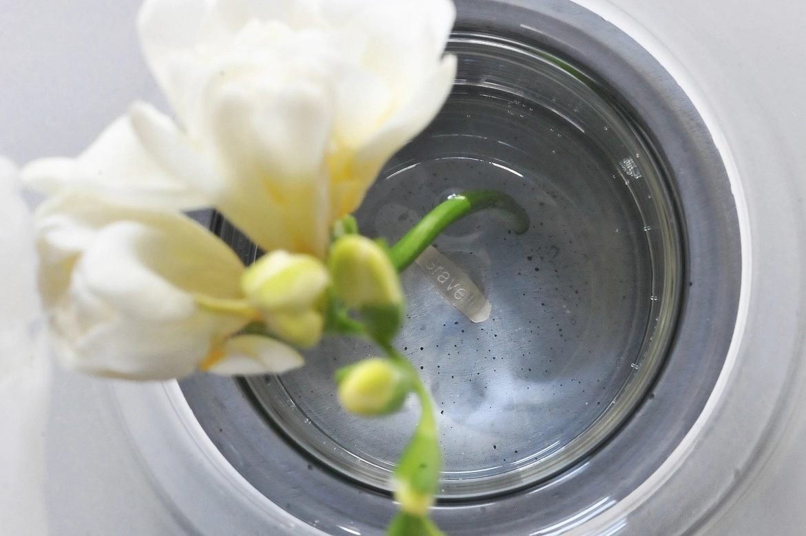 Concrete and glass flower vase