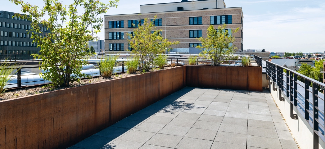 residential planting climate