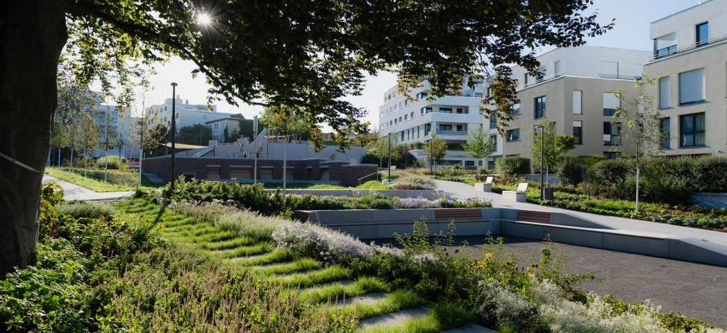 Betonstufen an einem Hang, welche rundherum von grünen Gräsern bewachsen sind und von einem großen Baum Schatten gespendet bekommen. Dahinter befinden sich moderne Wohngebäude.