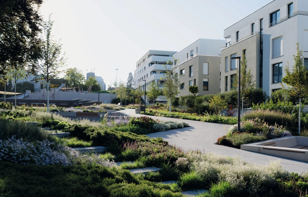 Ein grau gepflasterter Weg, welcher an modernen Wohngebäuden vorbeiführt. Der Weg ist seitlich von vielen grünen Pflanzen umgeben. Im Vordergrund sind Stufen, welche ebenfalls von vielen Sträuchern und Gräsern umgeben ist. 