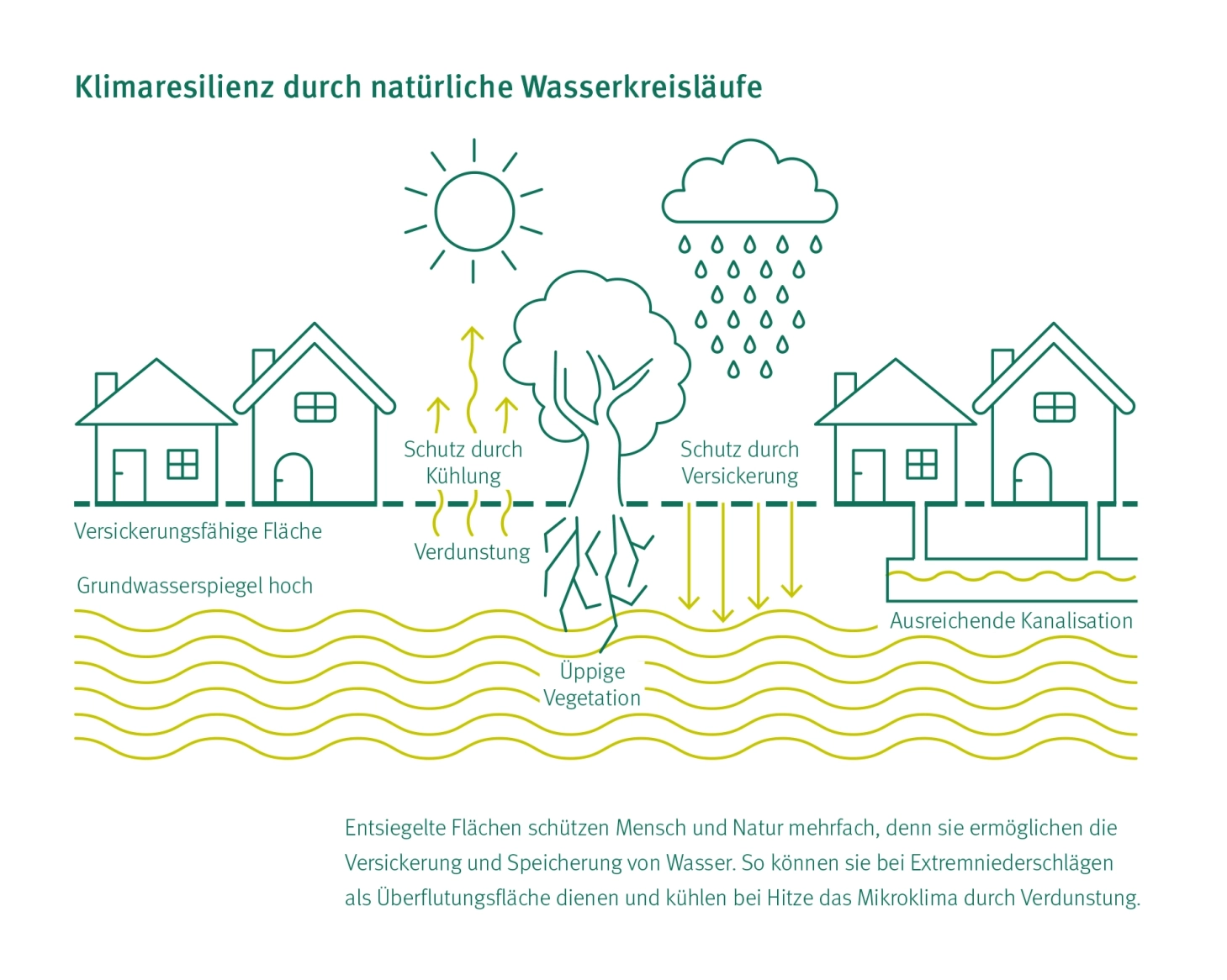 Grafik, die die Wirkweise des GDM.KLIMASTEIN zeigt. Wasser versickert, wird gespeichert und verdunstet.