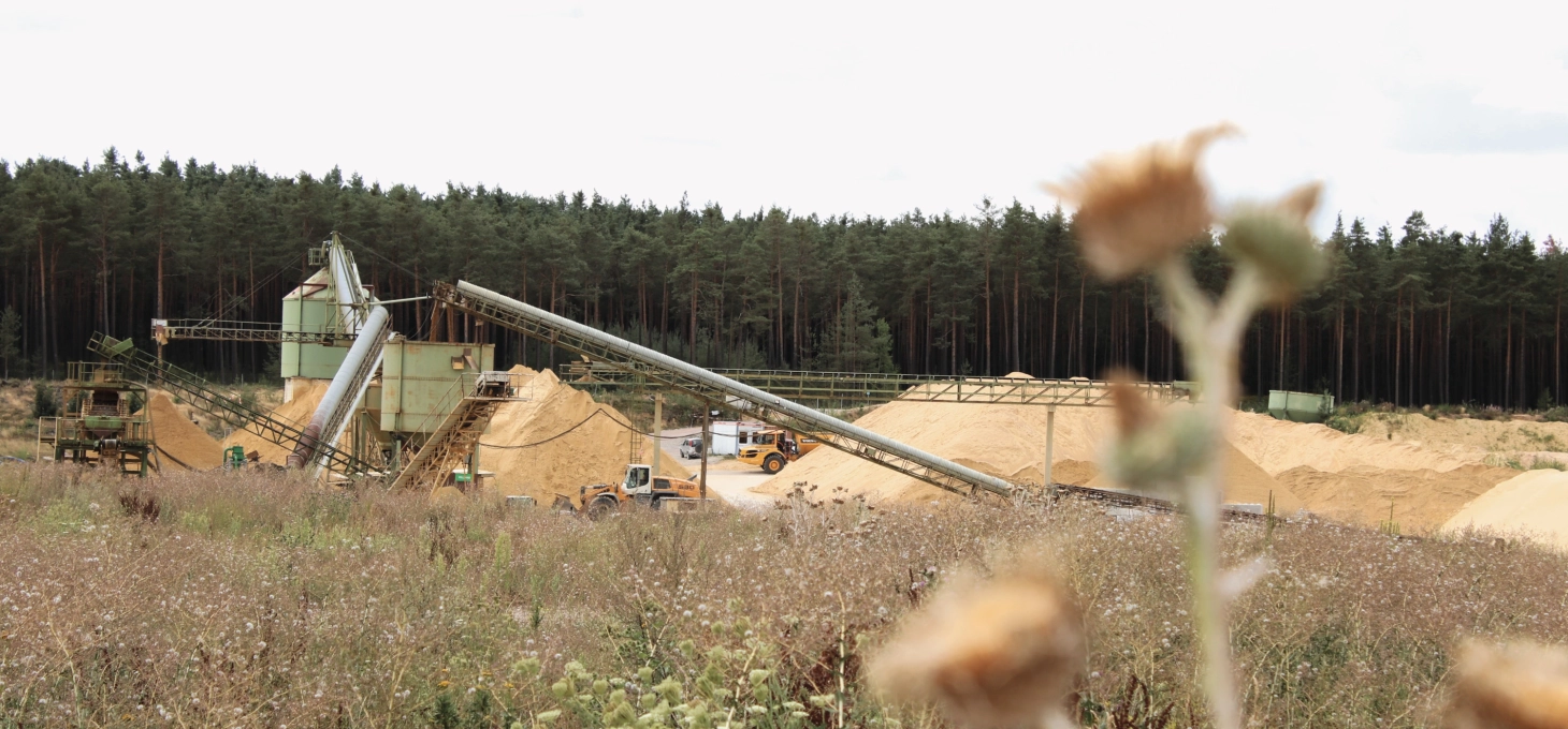 Blick auf die Sandaufbereiten - im Vordergrund eine unscharfe Silberdistel. Viele geschützte Pflanzen wachsen in unserer Sandgrube in den renaturierten Bereichen.