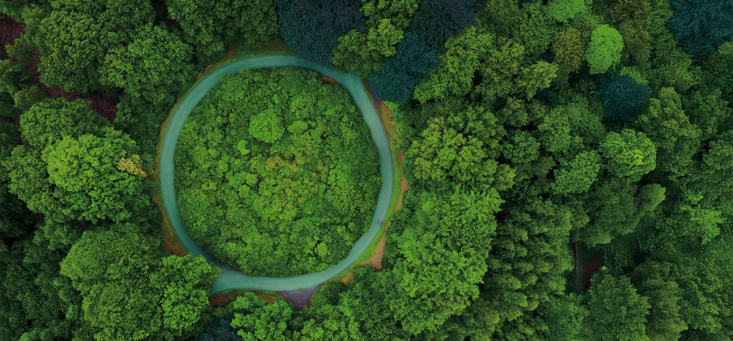 Kreislaufwirtschaft, Wald, Kreis