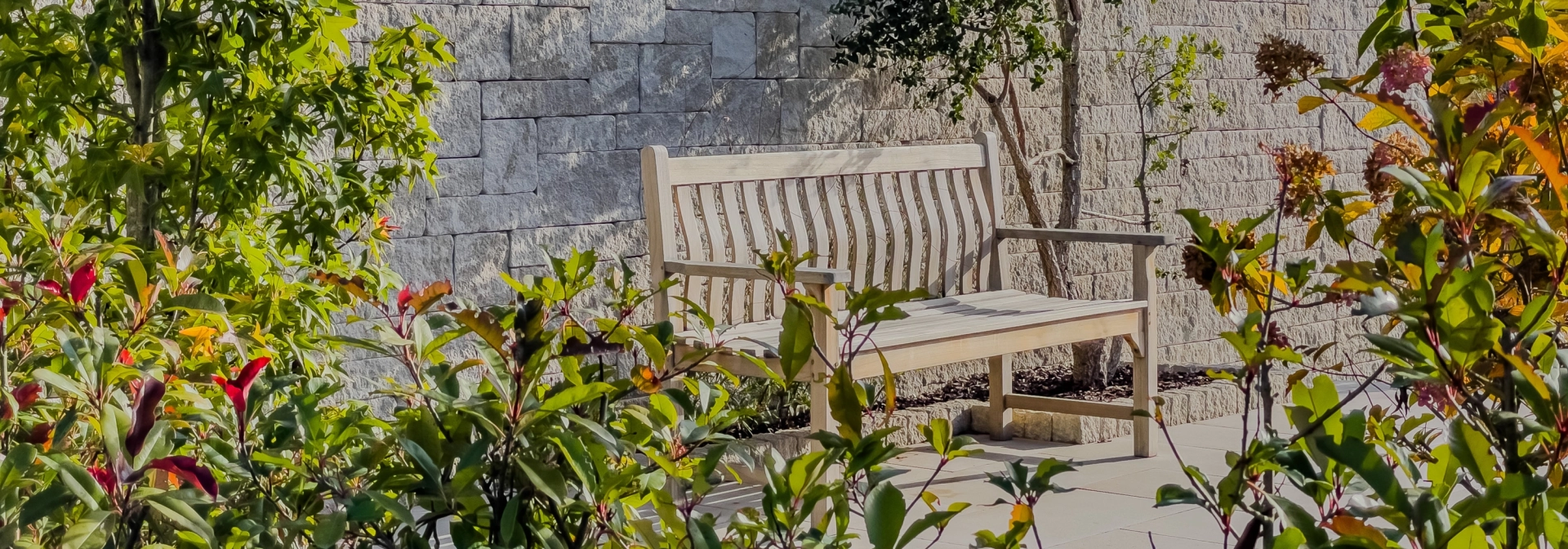 Wooden bench in front of a wall as a privacy screen in a landscaped garden.