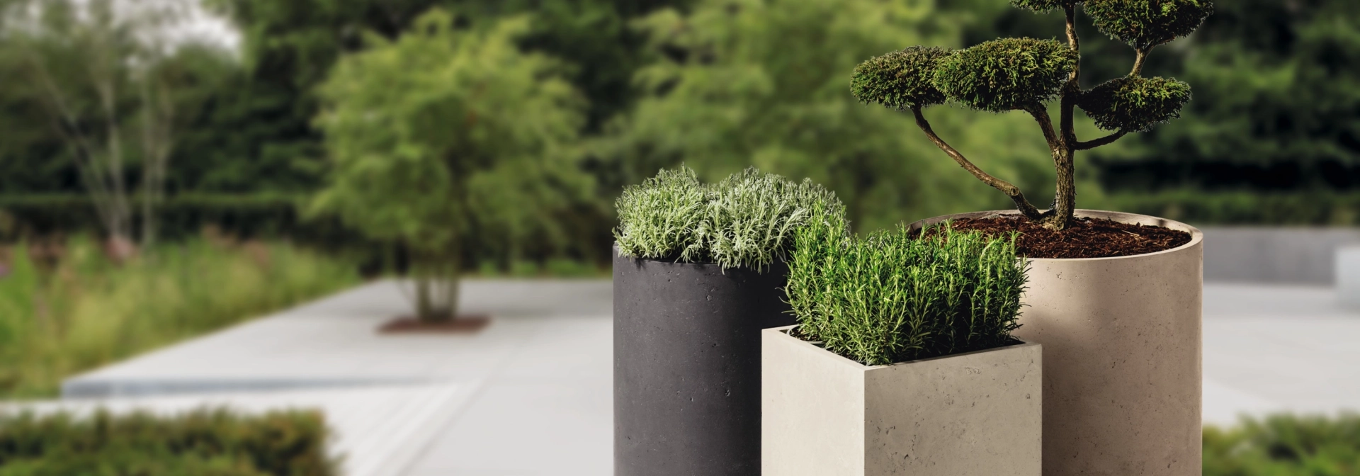 Planters against a green background