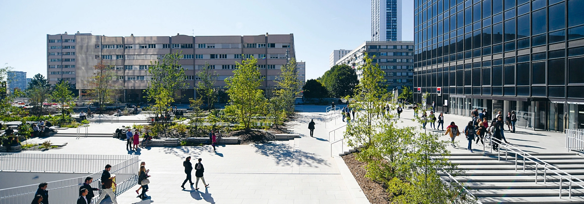 square city high-rise district planted