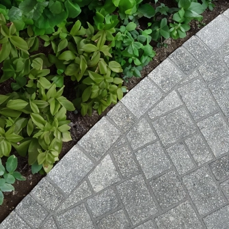 Ein gepflasterter Weg umgeben von verschiedenen Pflanzen und grüner Vegetation.