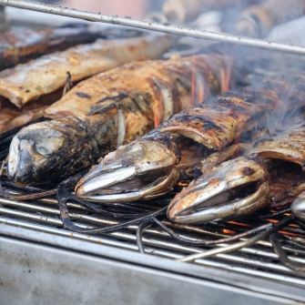 Makrelen liegen auf einem Rost und werden gegrillt.