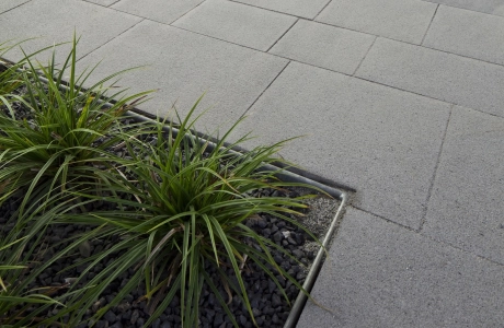 university planted space away