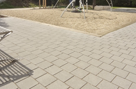 playground sand planted 