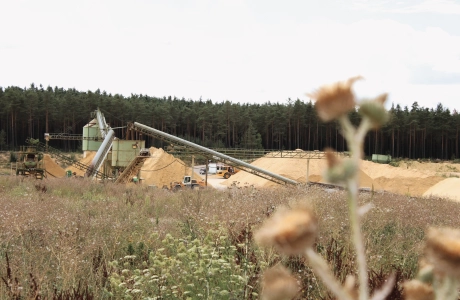 Blick auf die Sandaufbereiten - im Vordergrund eine unscharfe Silberdistel. Viele geschützte Pflanzen wachsen in unserer Sandgrube in den renaturierten Bereichen.