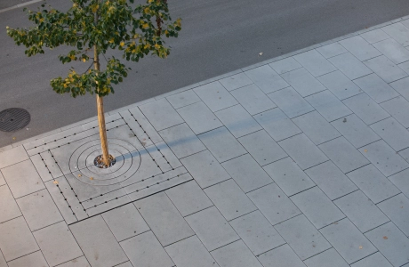 Baumscheibe aus Beton auf einem breiten Fußweg mit Baum 