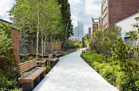 wood planted park