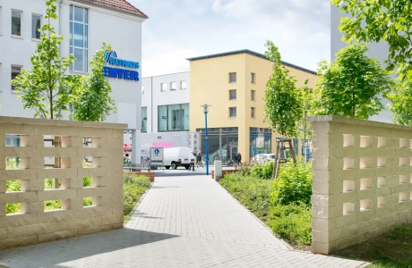 mauer begrünt bepflanzt innenstadt