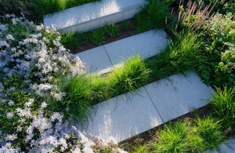 Nahaufnahme von grauen Blockstufen. Ringsherum sind grüne Gräser und ein Strauch mit lilafarbenen Blumen.