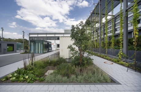 Ein Grau gepflasterter Weg, der zu einem modernen Gebäude mit einer grün-bläulichen Fenster-Fassade führt. Auf dem Platz vor dem Gebäude sind Pflanzen, Container und Laternen zu erkennen.