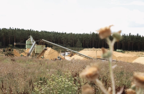 Blick auf die Sandaufbereiten - im Vordergrund eine unscharfe Silberdistel. Viele geschützte Pflanzen wachsen in unserer Sandgrube in den renaturierten Bereichen.