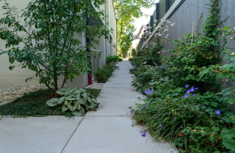 Schmaler Gartenweg mit GDM.NUEVA light, gesäumt von dicht bepflanzten Beeten mit grünen Stauden und violett blühenden Pflanzen, zwischen Hauswand und einem hohen Sichtschutzzaun.