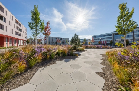 modern planted square