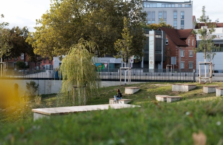 Städtische Grünanlage mit mehreren Sitzpodesten auf einer leicht geneigten Wiese; im Hintergrund stehen Bäume sowie verschiedene Gebäude, darunter ein modernes mehrstöckiges Haus und ältere Backsteinbauten.
