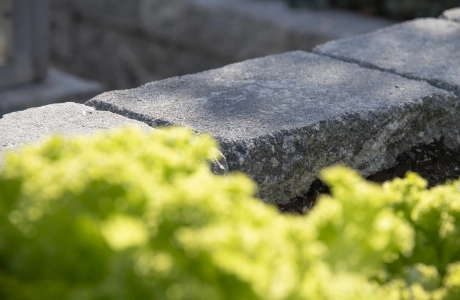 Nahaufnahme der grau-schwarzen GDM.DECA wall. Davor ist grüner Salat