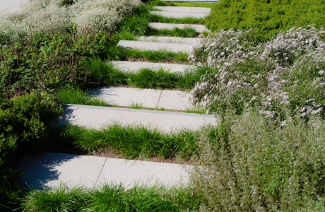 Nahaufnahme von grauen Blockstufen. Ringsherum sind grüne Gräser, aber auch lilafarbene und weiße Blumen.