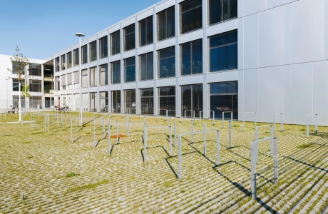 schule campus modern bepflanzt