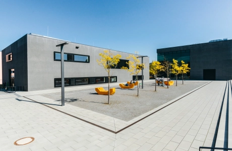 hochschule campus platz bepflanzt