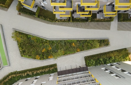 Blick von oben auf ein großes, grünes Beet. Die Fläche drumherum ist mit GDM.SCENIC individual gepflastert. Am Rand sind große helle Gebäude zu sehen.