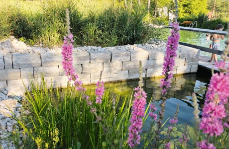 ufergestaltung fluss bepflanzt