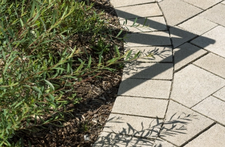 A curved path of beige paving stones runs alongside a planted area with green shrubs. The shadows cast by the plants create intricate patterns on the sidewalk.