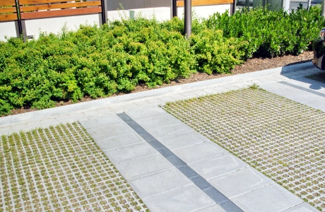 residential home nursing home stylishly planted