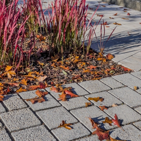Surface system with autumn-colored leaves.