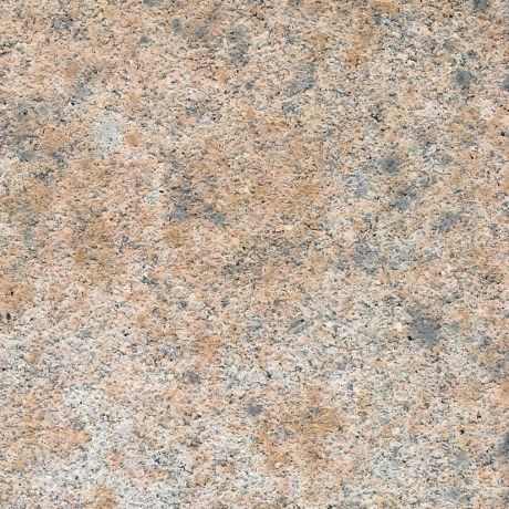 Oberfläche und Farbe Deca stone: nativo; naturbelassen Muschel-Kalk