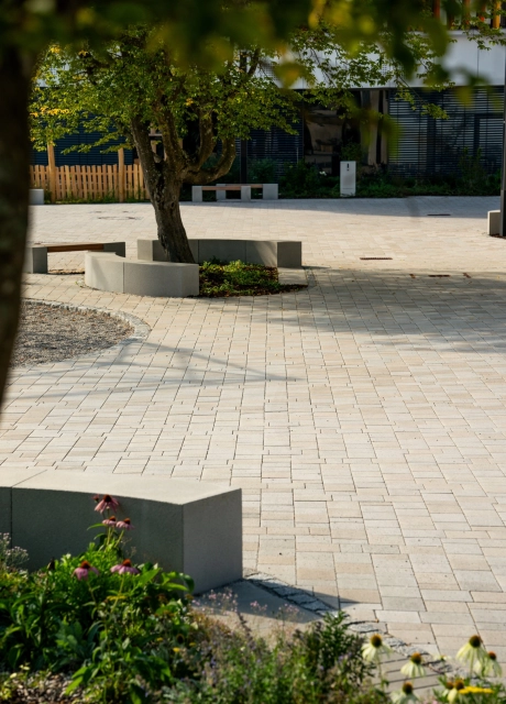 Kalk-Grau und Beige gepflasterter Schulhof mit Sitzelementen und Grünflächen an einem sonnigen Tag mit blauem Himmel. Die Äste eines großen Baumes spenden im Vordergrund Schatten. Im Hintergrund steht ein Schulgebäude mit weißer Fassade.