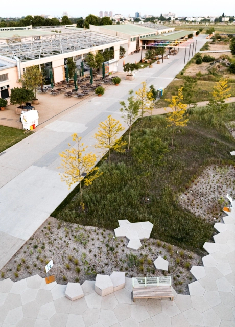 bundesgartenschau platz polygonalplatte