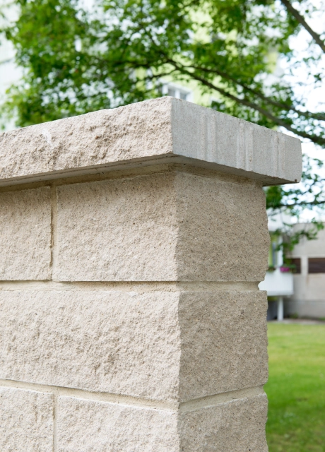 mauer begrünt bepflanzt innenstadt