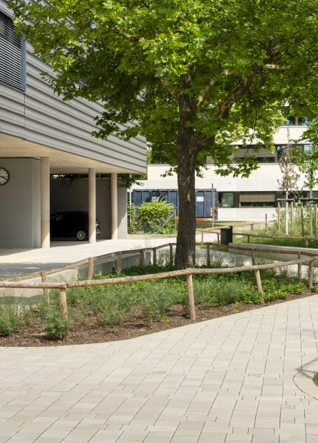 Open schoolyard surrounded by green meadows, trees and seating elements. Beige paved paths lead from the courtyard to a modern, multi-part school building. The front part stands on concrete columns and is clad in dark gray. The rear part has a white façade. 