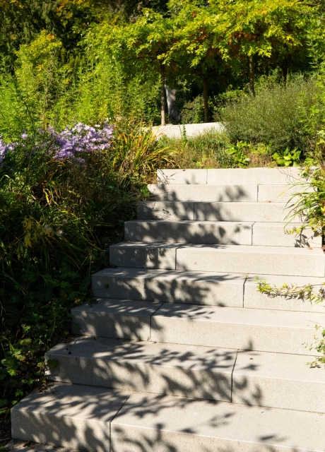 Außentreppe aus grauen GDM.NUEVA step, die zwischen dichtem Grün, Wildstauden und lila Blüten sanft nach oben führen, im warmen Sonnenlicht mit natürlichen Schattenmustern.