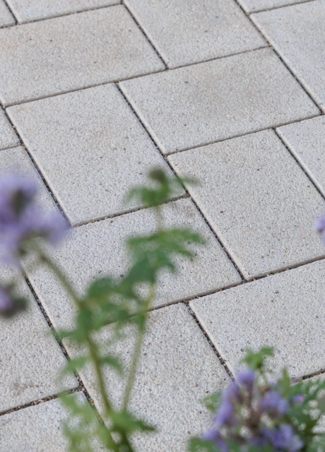 Nahaufnahme eines Weges aus beigem GDM.KLIMASTEIN, im Vordergrund mit violetten Blütenpflanzen, die vor dem hellen Pflaster stehen.