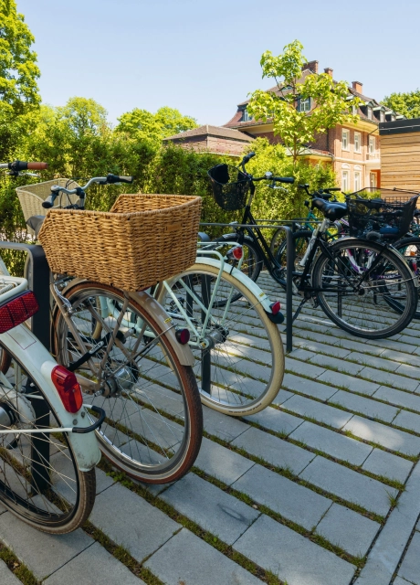 moderner neubau stilvolle freiraumgestaltung 