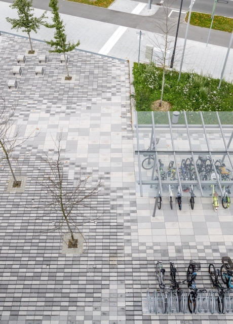 campus schule bepflanzt modern