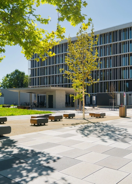 Großzügiger, moderner Platz vor einem mehrstöckigen Universitätsgebäude mit Bäumen, Sitzbänken und einer roten Skulptur im Grünbereich, gepflastert mit kalksteinfarbenem GDM.SCENIC stone.