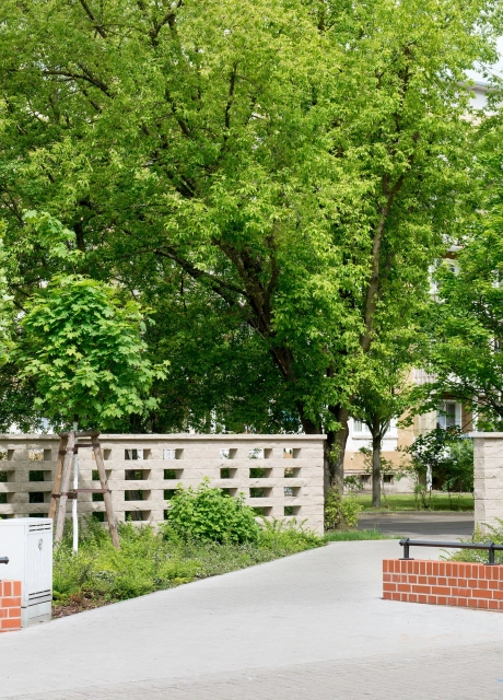 mauer begrünt bepflanzt innenstadt